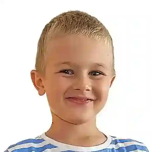 Lektor Filip